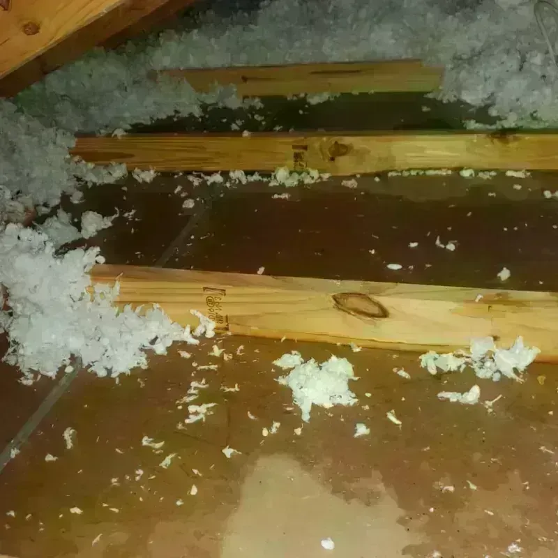 Attic Water Damage in Fruitdale, OR